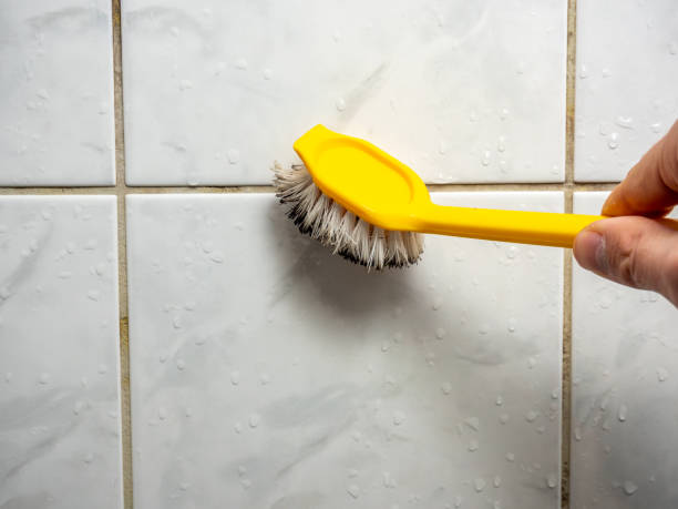 Best Certified Mold Removal  in Laurel, MS