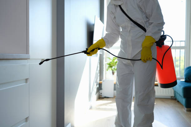 Best Mold Removal and Inspection  in Laurel, MS