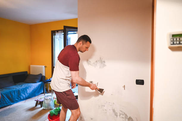 Attic Mold Removal in Laurel, MS